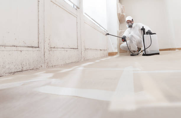 24/7 Emergency Basement Mold Remediation experts in Carrollton, GA