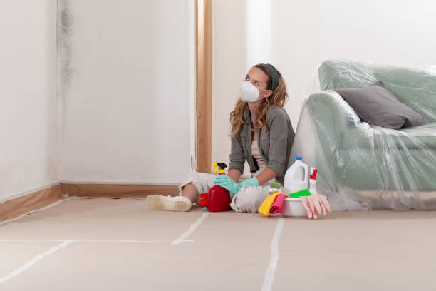 Reliable Basement Mold Remediation contractor in Carrollton, GA by WQB Mold Removal